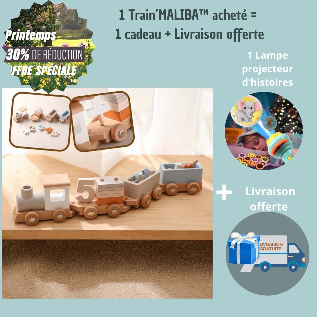 train-en-bois-enfant-Maliba-offre