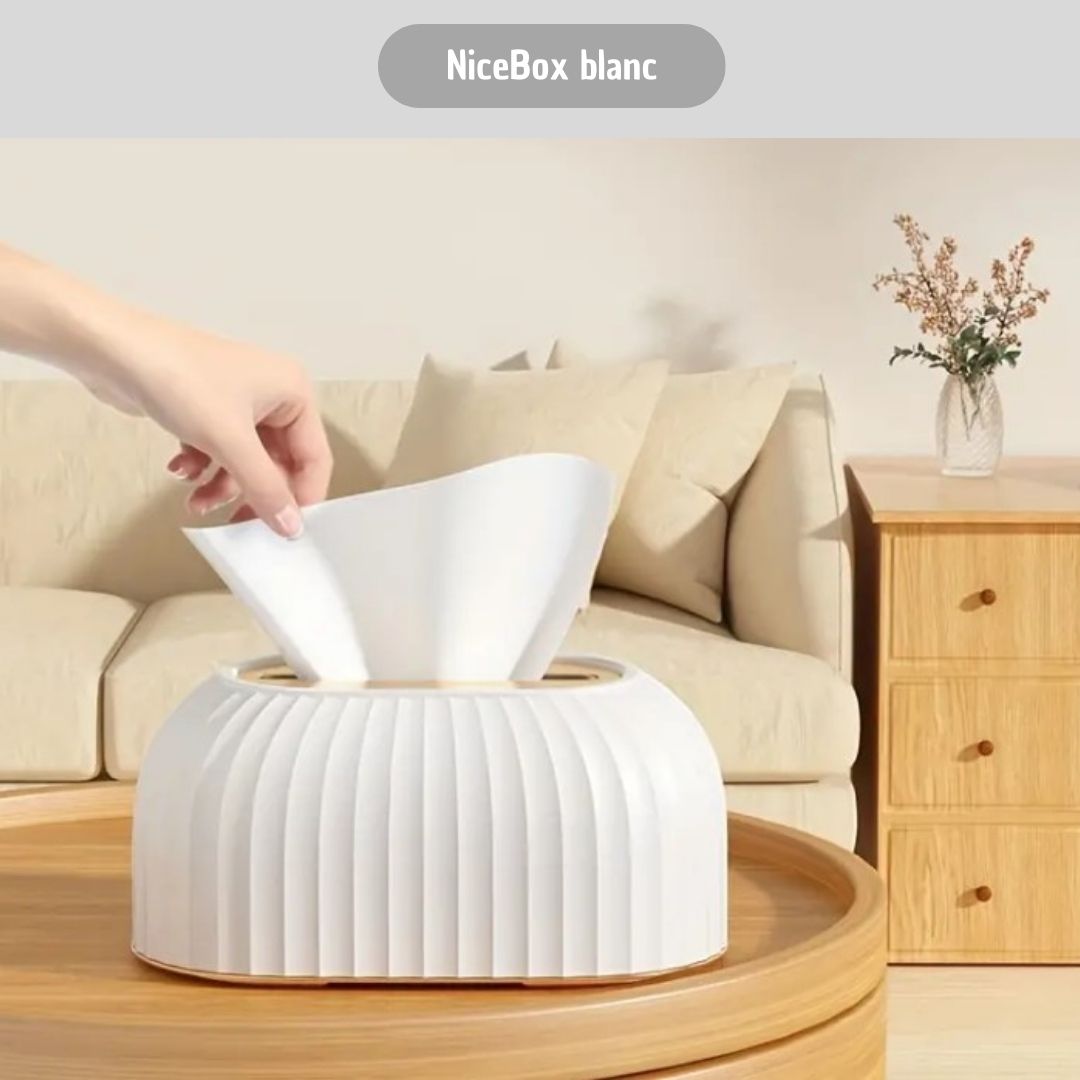 boite-a-mouchoirs-blanc_a160d65e-f3d5-4b1b-9b27-7e09ce40e7c5