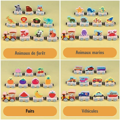 train-en-bois-caroussel-themes