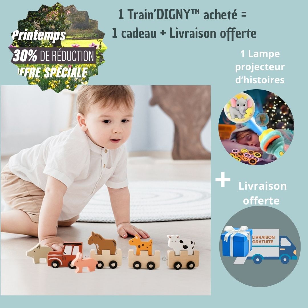 train-en-bois-enfant-Digny-offre