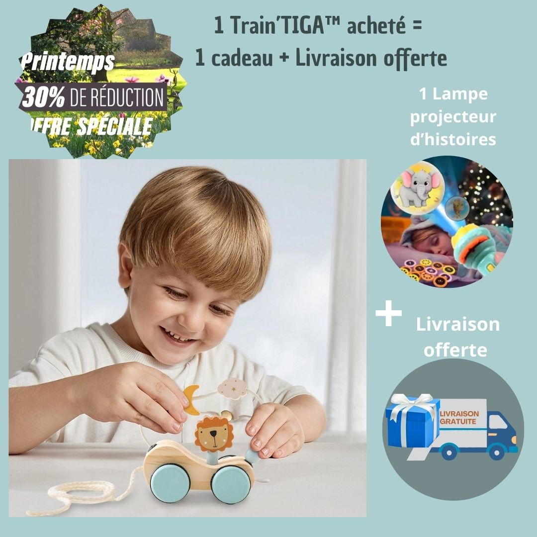 train-en-bois-enfant-Tiga-offre