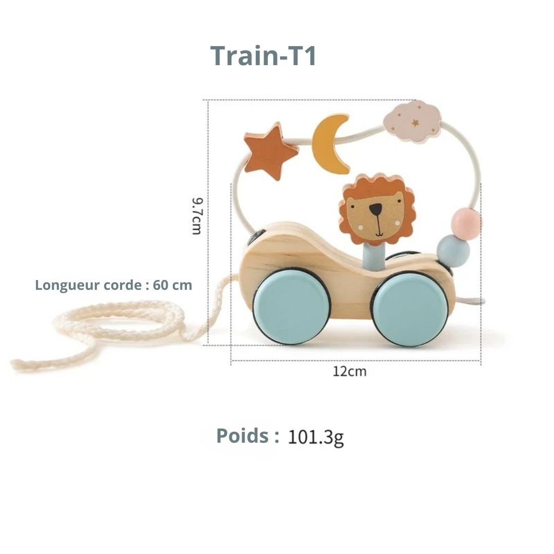 train-en-bois-variante-traint1_78df4f65-f41c-4dad-9fc8-846bed3db1ff