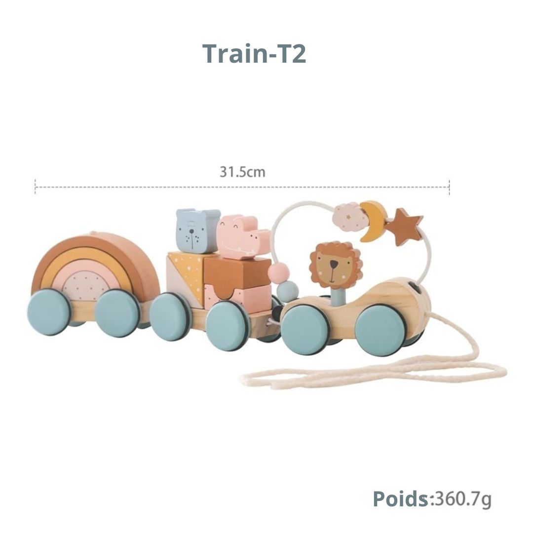 train-en-bois-variante-traint2_8ce5e09e-07b9-4fcd-bd18-e7a440261b9e
